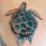 Tattoos - Sea Turtle - 132845